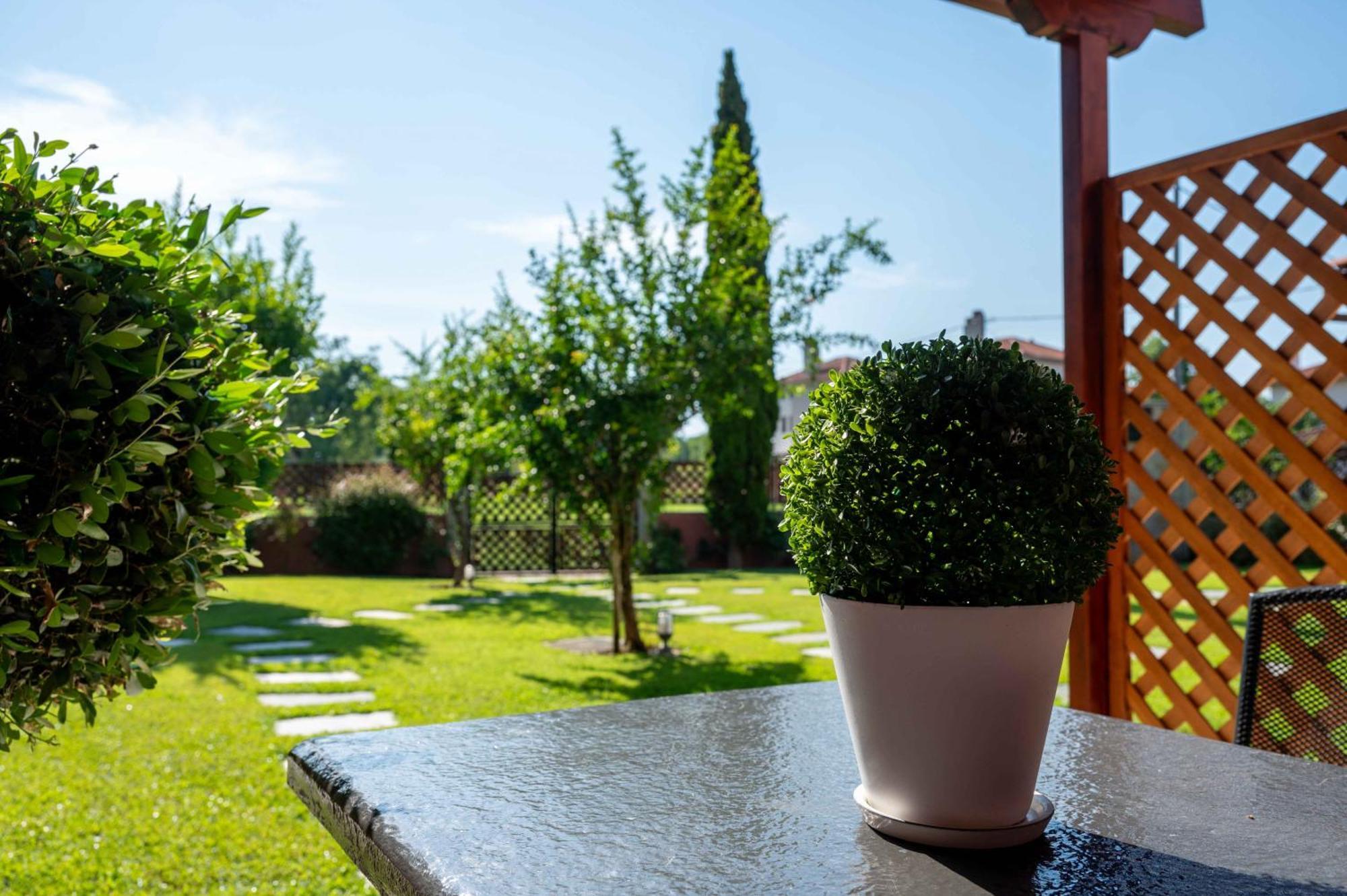 Apartment Melograno And